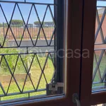 Rent 2 bedroom apartment of 53 m² in Roma