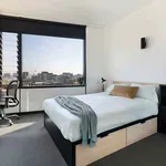 Rent 6 bedroom student apartment in Melbourne