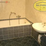 Rent 1 bedroom apartment of 46 m² in Olomouc