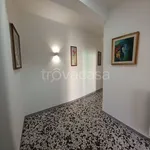 Rent 4 bedroom apartment of 120 m² in Molfetta