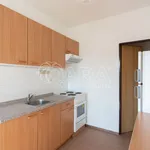 Rent 1 bedroom apartment of 42 m² in Capital City of Prague