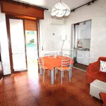 Rent 2 bedroom apartment of 45 m² in Borghetto Santo Spirito