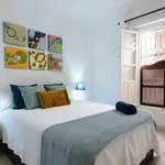 Rent 1 bedroom apartment in seville