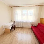 Rent 3 bedroom apartment of 62 m² in Kalisz