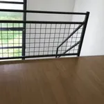 Appartement de 19 m² avec 1 chambre(s) en location à Toulouse