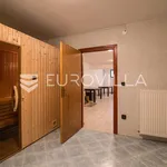 Rent 7 bedroom house of 585 m² in Zagreb