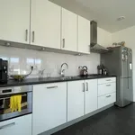 Rent 3 bedroom apartment of 122 m² in Biezen