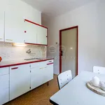 Pronajměte si 2 ložnic/e byt o rozloze 62 m² v Velké Meziříčí