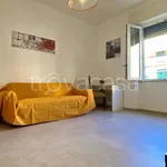 Affitto 5 camera appartamento di 95 m² in Pisa