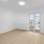 Rent 2 bedroom apartment of 33 m² in Slaný