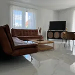 Rent 3 bedroom apartment of 111 m² in Brunswick