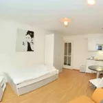 Rent 1 bedroom apartment of 30 m² in Zürich