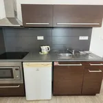 Rent 1 bedroom apartment of 25 m² in Brno