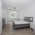 Pronajměte si 1 ložnic/e byt o rozloze 104 m² v Prague