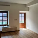 Hübsche 1 Zimmer Wohnung direkt am Hauptplatz Neunkirchen zu vermieten!