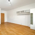 Rent 1 bedroom apartment in Ostrava