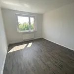 Miete 2 Schlafzimmer wohnung von 48 m² in Leipzig