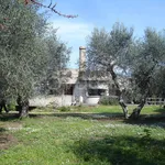 Rent 8 bedroom house of 250 m² in Orbetello