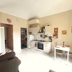 Rent 3 bedroom apartment of 98 m² in Torino