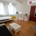 Rent 1 bedroom apartment of 38 m² in Capital City of Prague