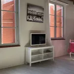 Rent 2 bedroom apartment of 44 m² in Bayonne