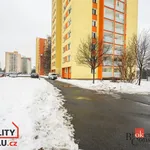 Rent 1 bedroom apartment of 27 m² in Ostrava