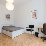 Louez une chambre de 300 m² à brussels