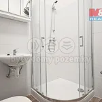 Rent 1 bedroom apartment of 30 m² in Dlouhoňovice