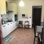 Rent 1 bedroom apartment of 20 m² in Turin