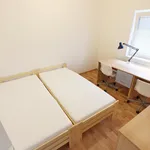 Rent 1 bedroom apartment of 10 m² in Brno