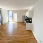 Rent 2 bedroom apartment of 46 m² in Graz