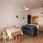 Rent 2 bedroom apartment of 50 m² in Borghetto Santo Spirito