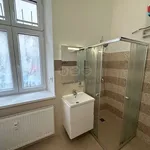 Rent 2 bedroom apartment of 46 m² in Tábor