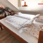 Rent 1 bedroom apartment of 20 m² in Kutná Hora