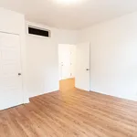  appartement avec 1 chambre(s) en location à Montreal