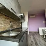 Rent 1 bedroom apartment of 50 m² in Bologna