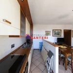 Rent 4 bedroom apartment of 54 m² in Pescia