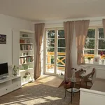 Rent 1 bedroom apartment in Příbram