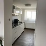 Pronajměte si 1 ložnic/e byt o rozloze 34 m² v Prague