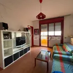 Rent 4 bedroom apartment of 107 m² in Lodi