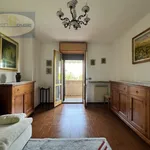 Rent 1 bedroom apartment in Molinella