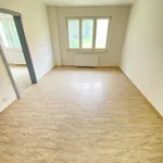 Rent 2 bedroom apartment in Velké Losiny