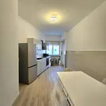 Rent 4 bedroom apartment of 130 m² in Turin