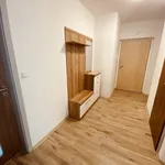 Rent 1 bedroom apartment in Jihlava