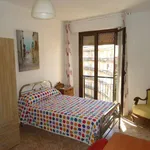 Rent a room in cordoba