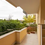 Rent 1 bedroom apartment in Rome