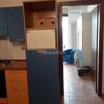 Rent 3 bedroom apartment of 50 m² in Macerata