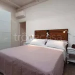 Rent 2 bedroom apartment of 55 m² in Forlimpopoli