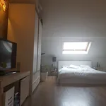 Rent 1 bedroom apartment in Leuven