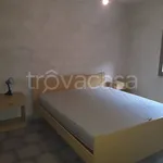 Rent 3 bedroom apartment of 70 m² in Castelvetrano